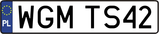 WGMTS42