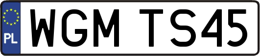 WGMTS45