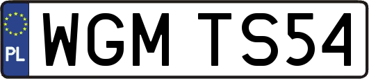 WGMTS54
