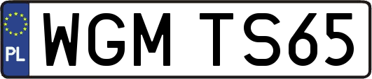 WGMTS65