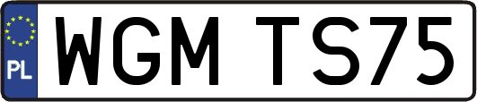 WGMTS75