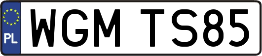 WGMTS85