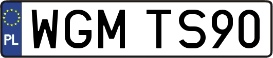 WGMTS90