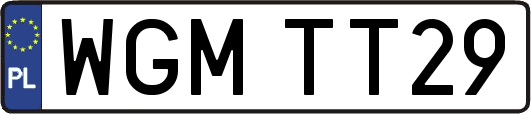 WGMTT29