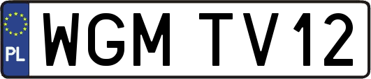 WGMTV12
