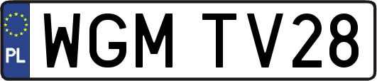 WGMTV28