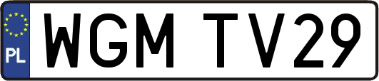 WGMTV29
