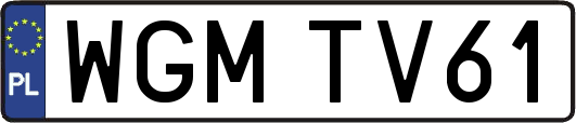 WGMTV61