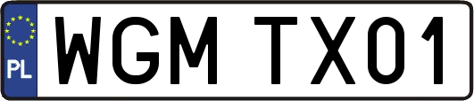 WGMTX01