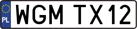 WGMTX12
