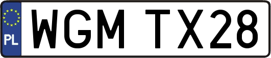 WGMTX28