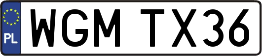 WGMTX36