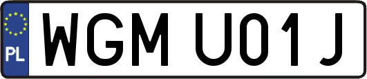 WGMU01J