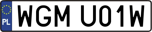 WGMU01W