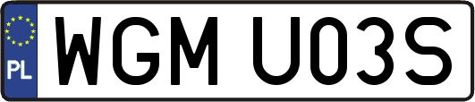 WGMU03S