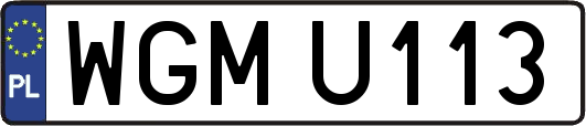WGMU113