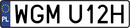 WGMU12H