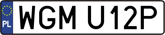 WGMU12P
