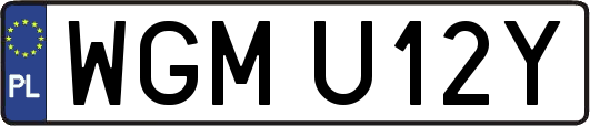 WGMU12Y