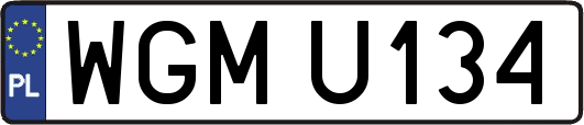WGMU134