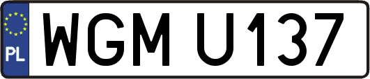 WGMU137