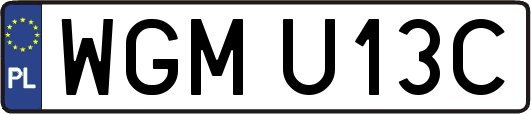 WGMU13C