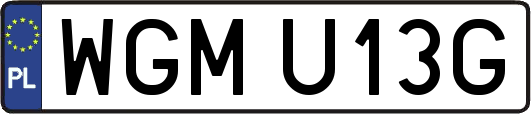 WGMU13G