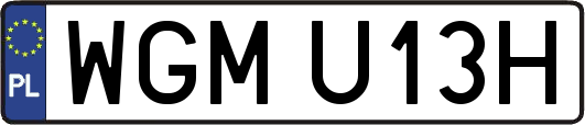 WGMU13H