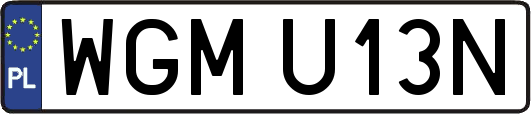 WGMU13N