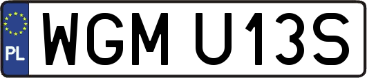 WGMU13S