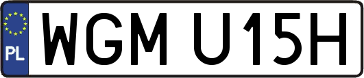 WGMU15H