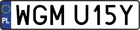 WGMU15Y