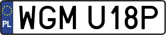 WGMU18P