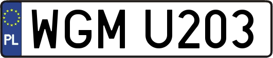 WGMU203