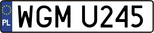 WGMU245