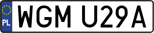 WGMU29A