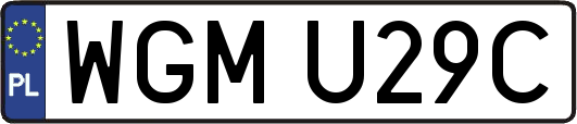WGMU29C