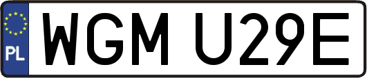 WGMU29E