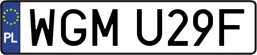 WGMU29F