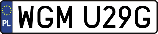 WGMU29G