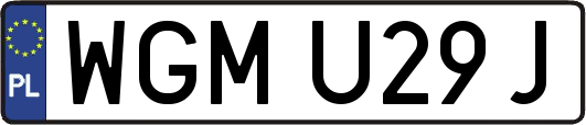 WGMU29J