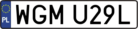 WGMU29L