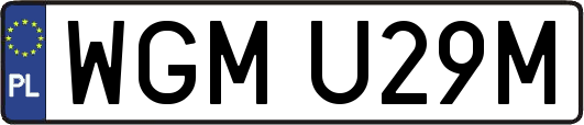 WGMU29M