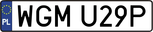 WGMU29P