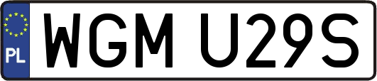 WGMU29S