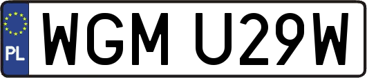 WGMU29W