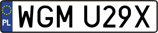 WGMU29X