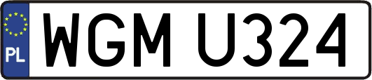 WGMU324
