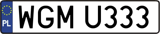 WGMU333