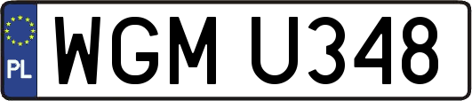 WGMU348